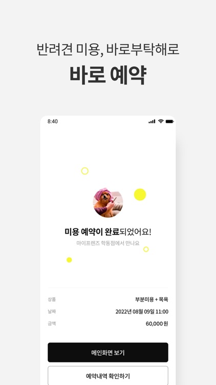 바로부탁해 - 반려견 미용 예약 screenshot-3