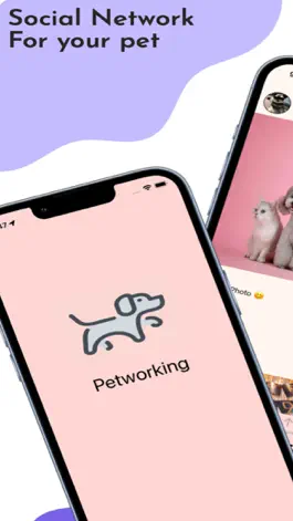 Game screenshot Petworking mod apk