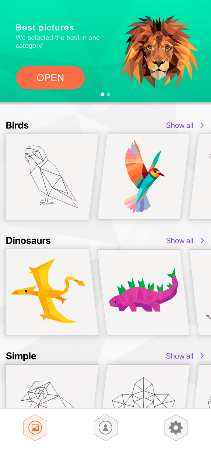 Poly Color - Coloring Puzzle