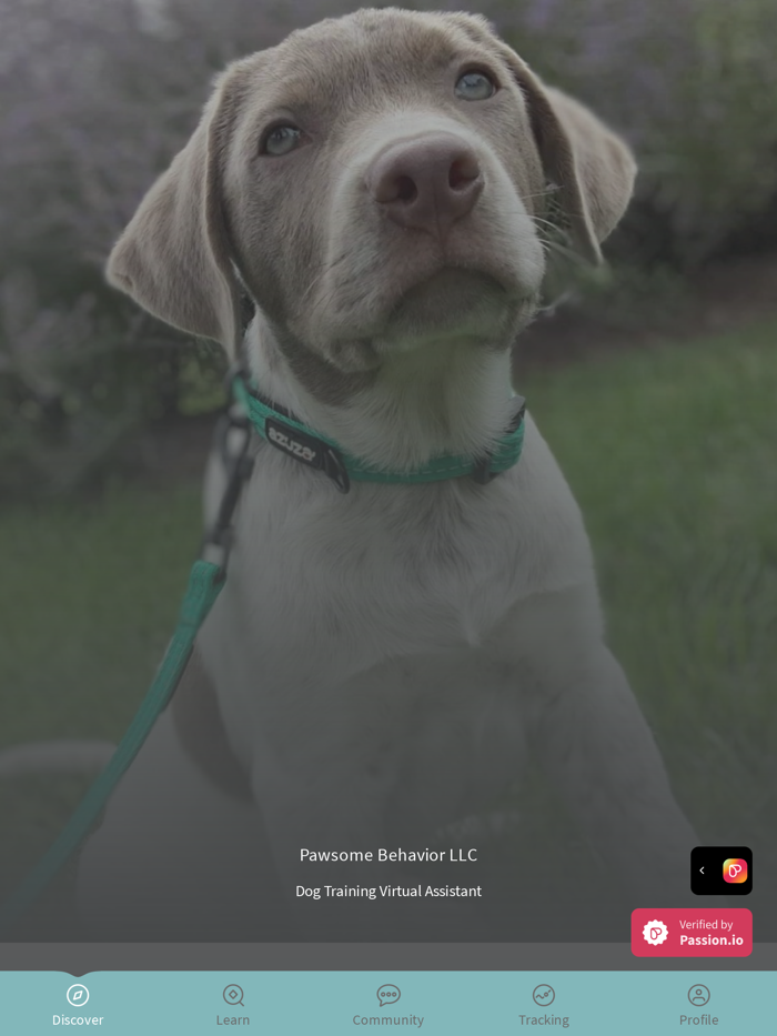 Pawsome Behavior Dog Training