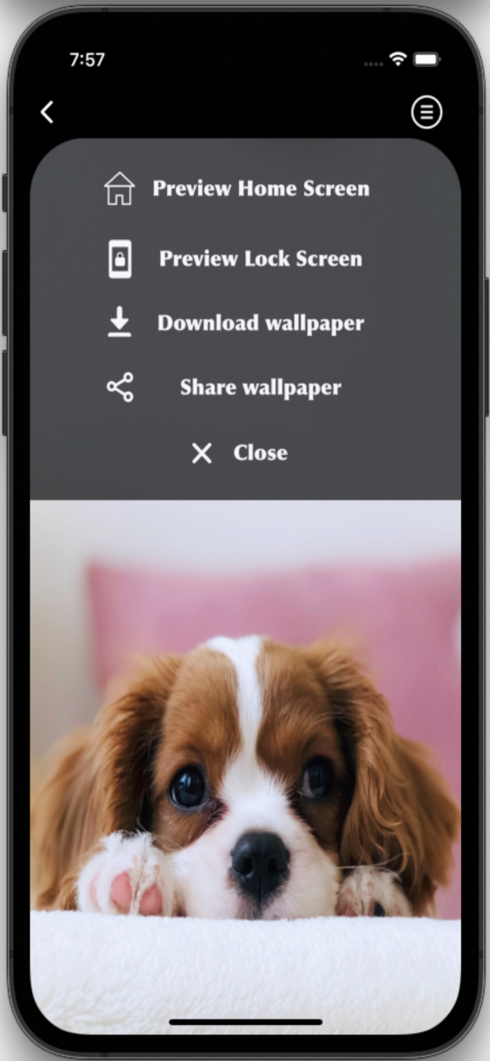 Dog Wallpapers HD Pro