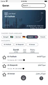 audio quran (11 languages) iphone screenshot 1