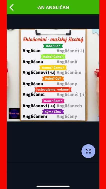 Czech Pocket Declensions screenshot-6