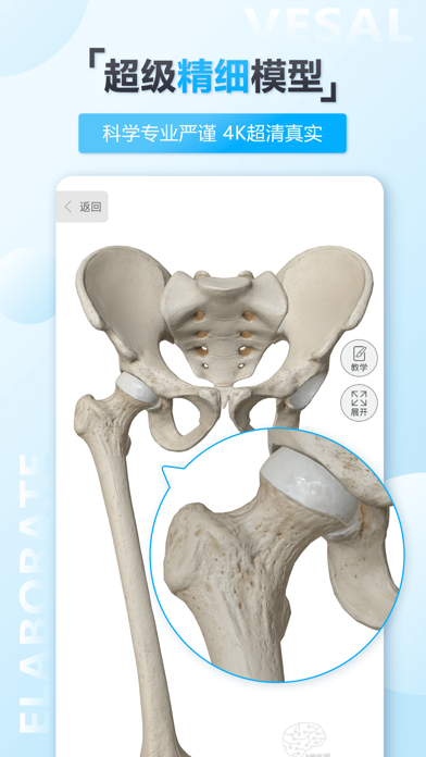 维萨里3D解剖-学生学习老师教学医生资源人体医学图谱大全 screenshot 2