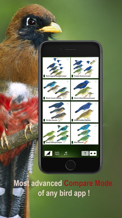 All Birds Northern Peru screenshot-6