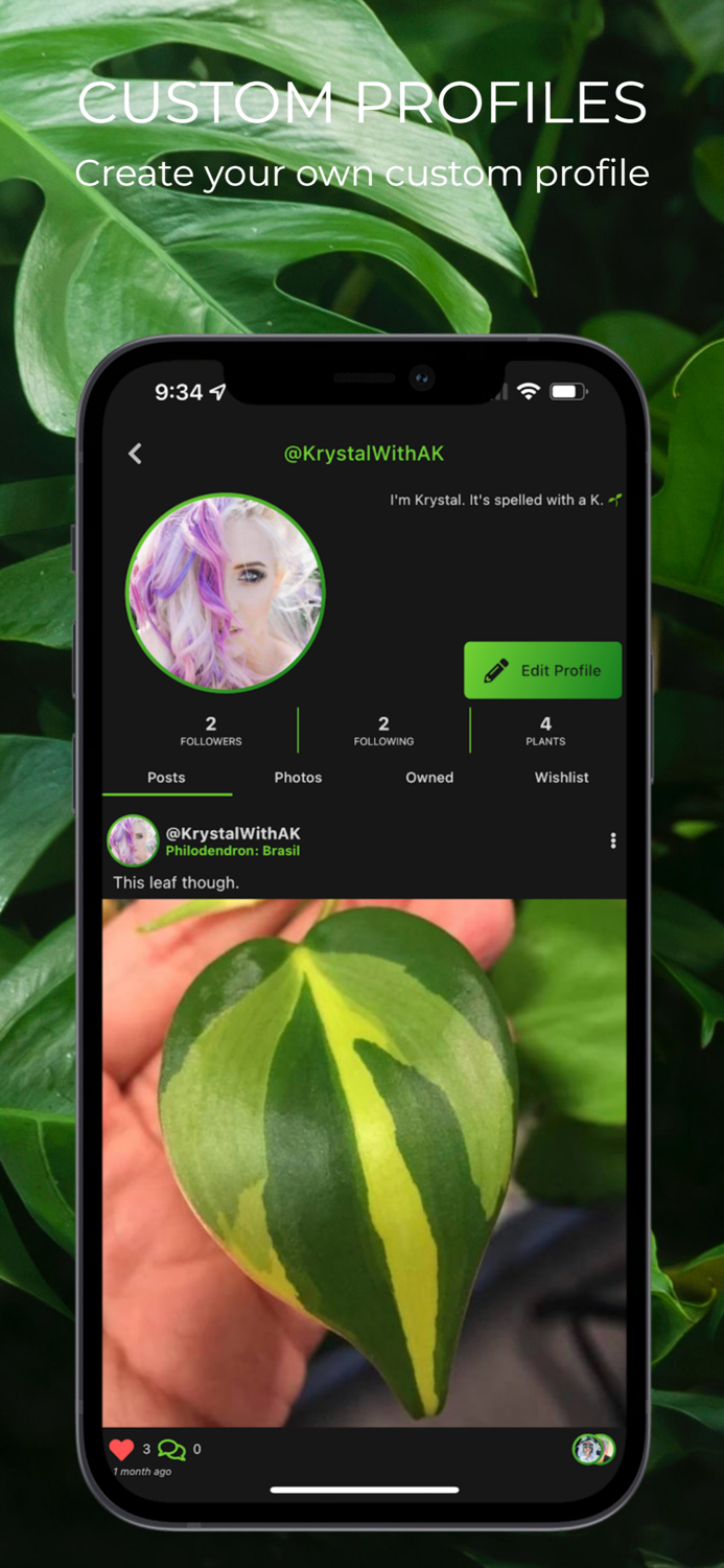 Greenery Plants Made Social