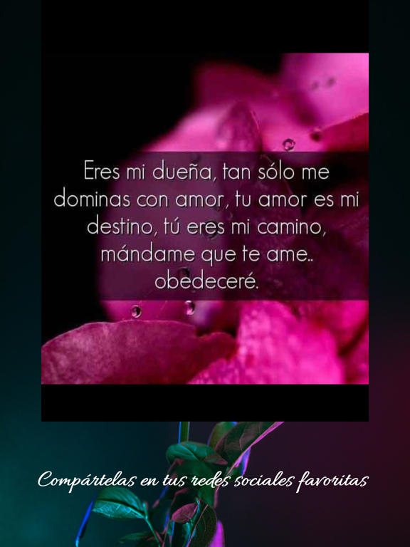 Imágenes con Frases de Amor screenshot 3