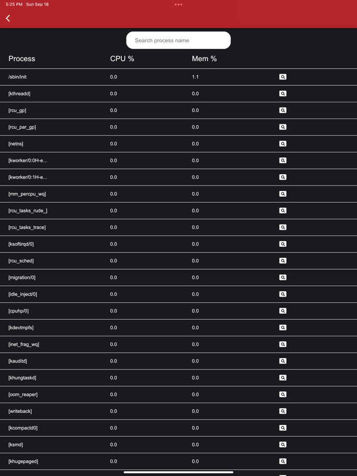 Linux Process Manager
