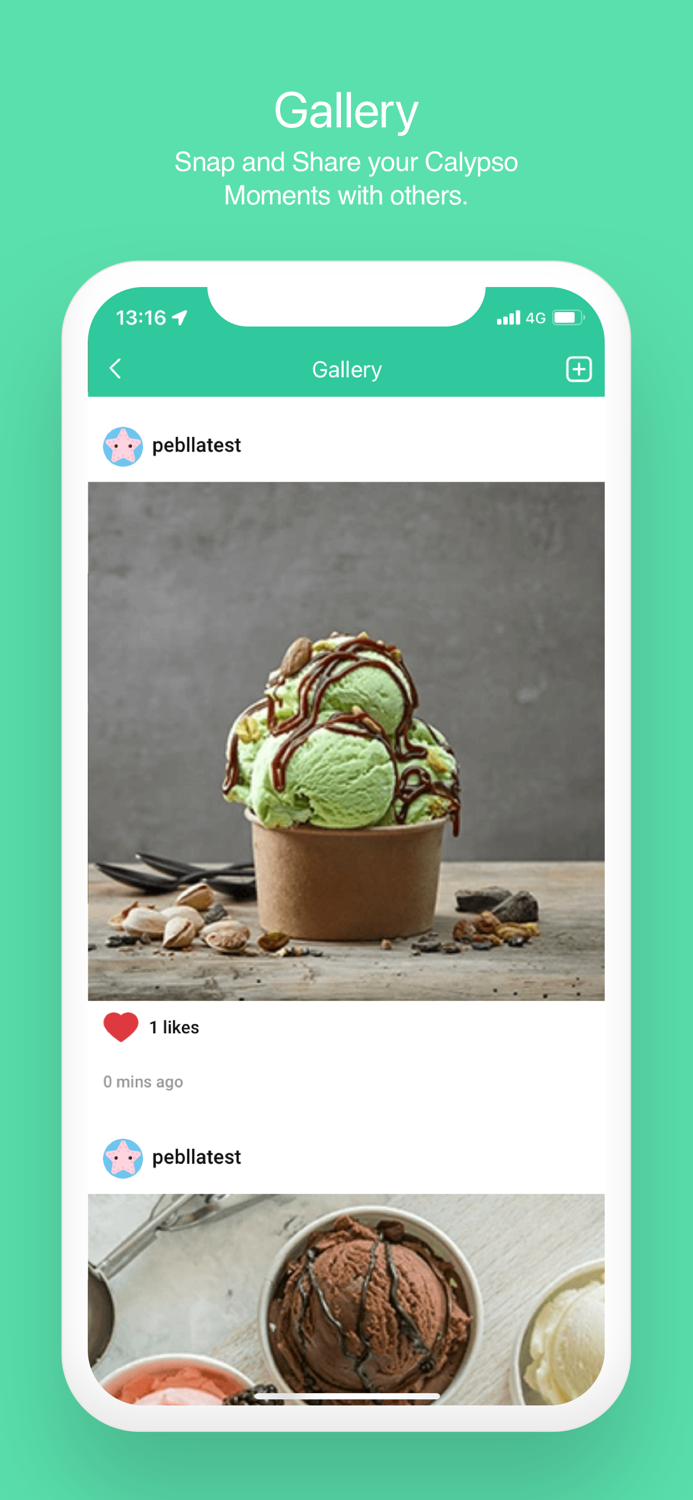 CALYPSO ICE CREAM  COFFEE