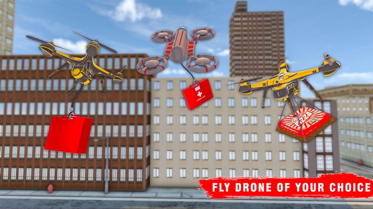 Flying Drone Flight Simulator screenshot-3