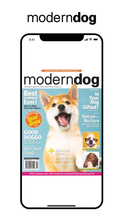 Modern Dog