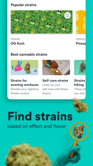 Weedmaps: Cannabis, Weed & CBD iphone images