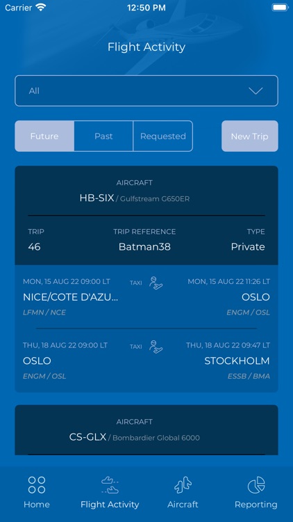 Air Alsie Digital Aircraft