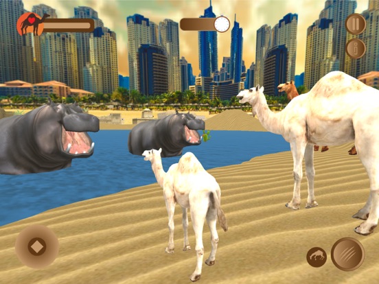 Dubai Desert Camel Simulator screenshot 4