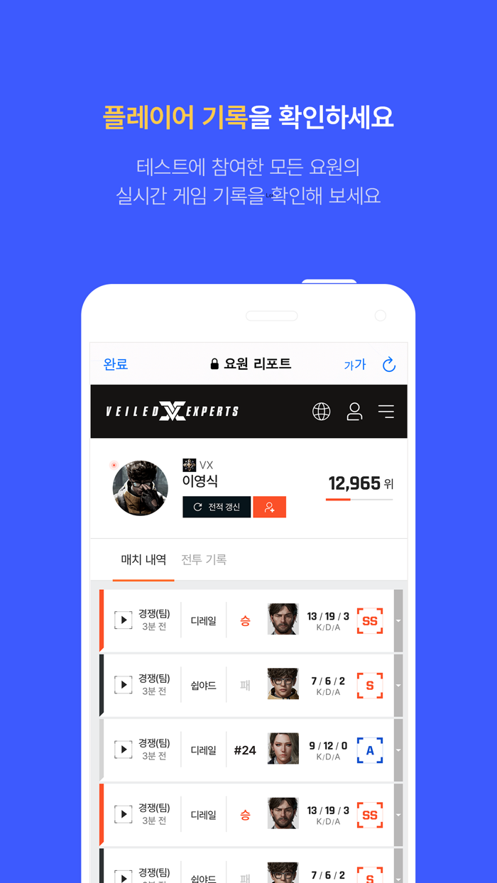 Veiled Experts Companion