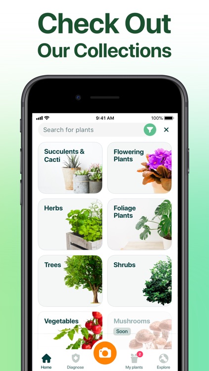 NatureID: Plant Identification screenshot-5
