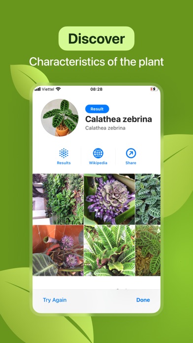 Leaf Identification: Plant ID screenshot 3