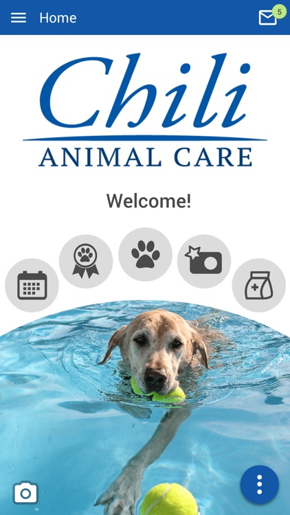 Chili Animal Care