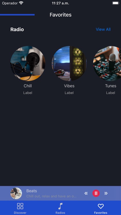 Streaming Radio screenshot-5