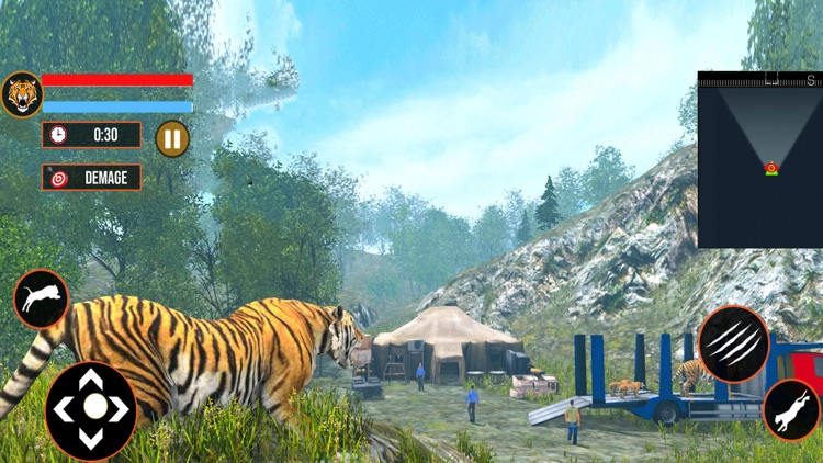 Wild Tiger Family Simulator screenshot-3