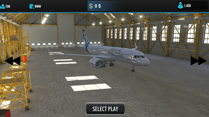 Passenger Aircraft Simulator