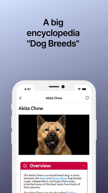 Dog Breeds: All Dog Identify screenshot-2