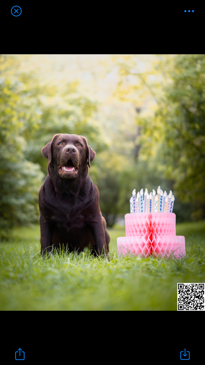 QR Code Watermark Creator ®