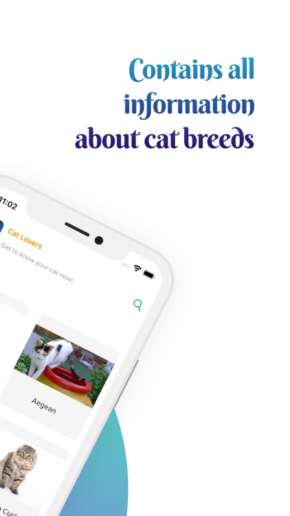 Cat Caring: Breeds and Guides