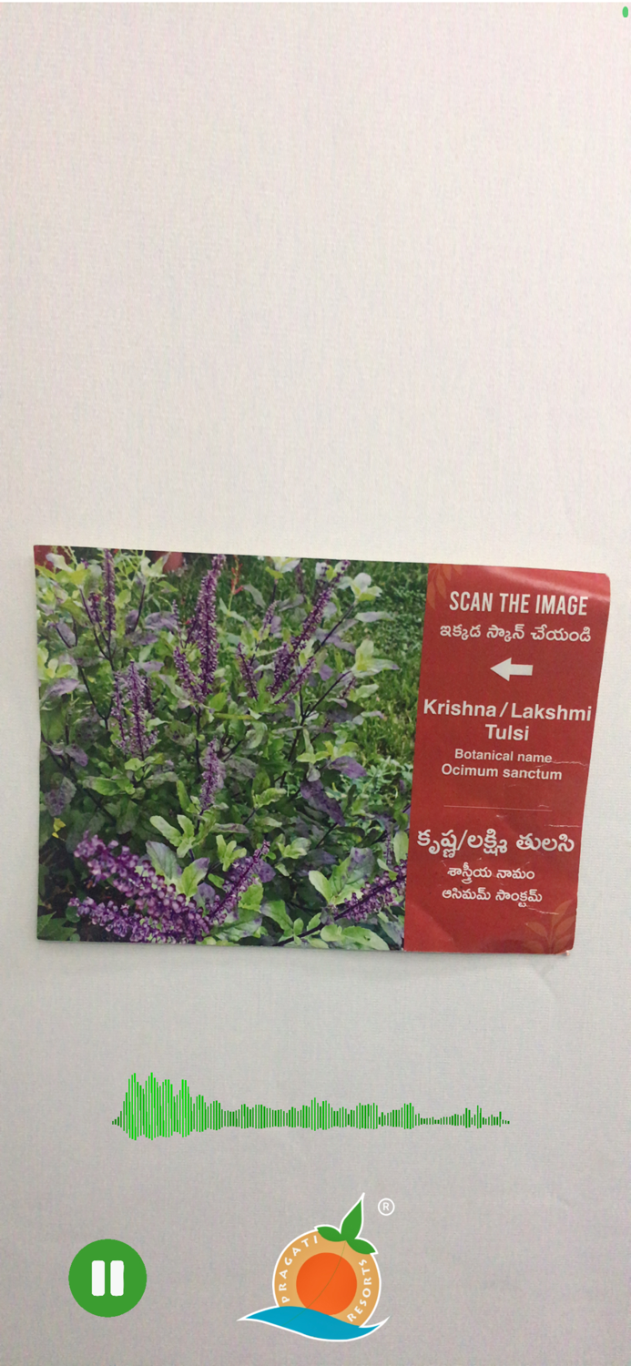 Pragati Resort Guide - English