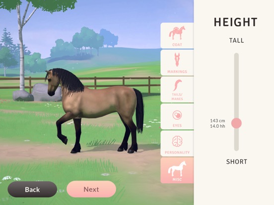 Equestrian the Game screenshot 3