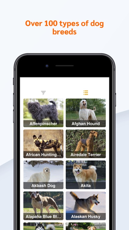 Dog Breeds Guid