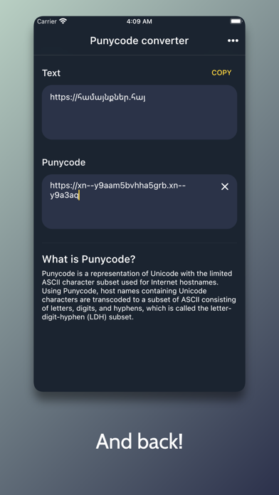 Punycode Converter screenshot 2