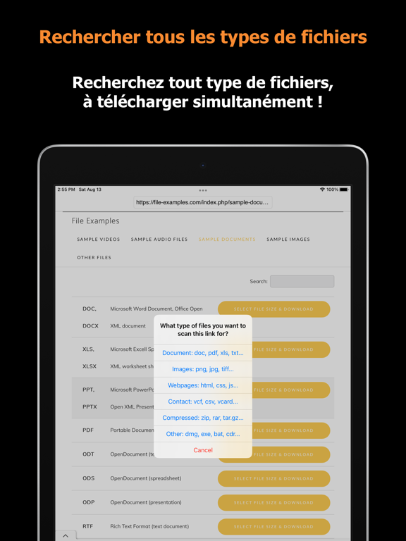 Blaze : Navigateur Privé Blaze : Navigateur Privé