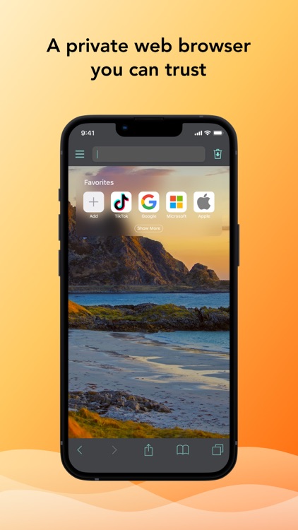 Private Browser Deluxe
