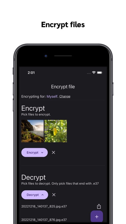 Encrypt37: Encrypt and share