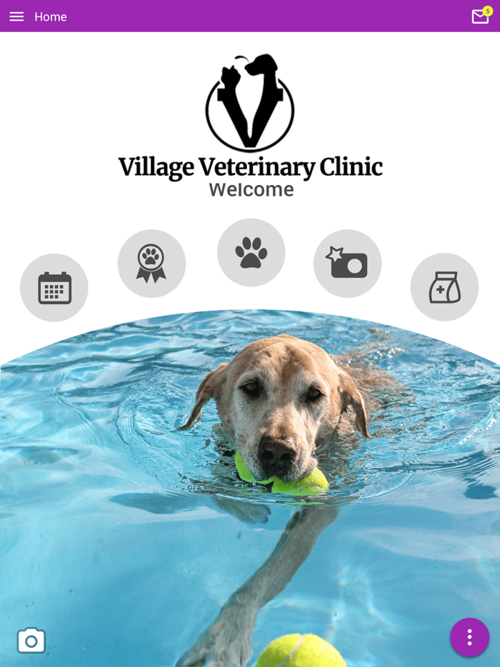 Village Vet Clinic OH