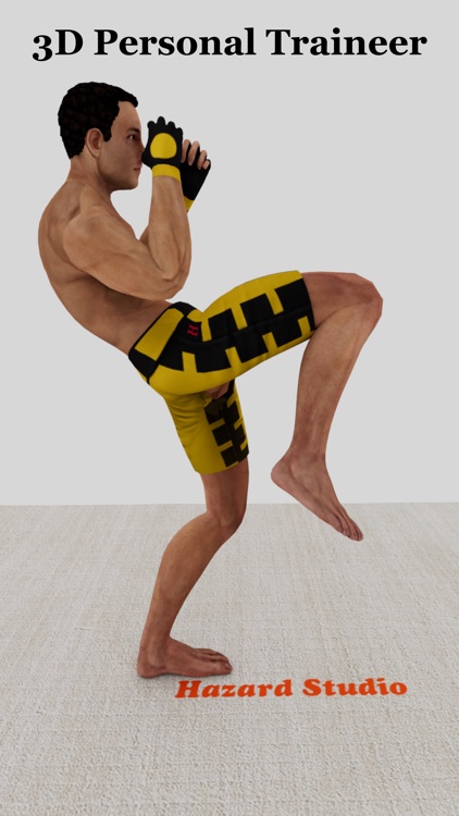 Kickboxing Fitness Workout screenshot-3