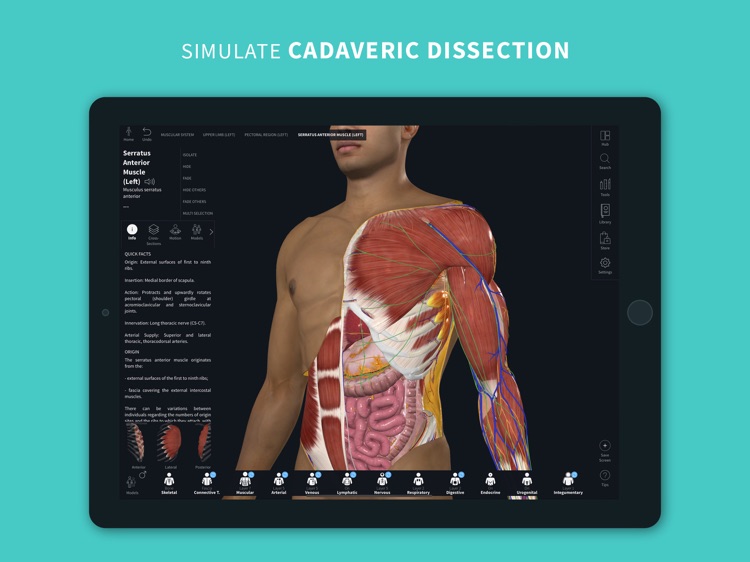 Complete Anatomy 2023