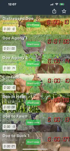 Game screenshot Roebuck Calls for Roe Deer mod apk