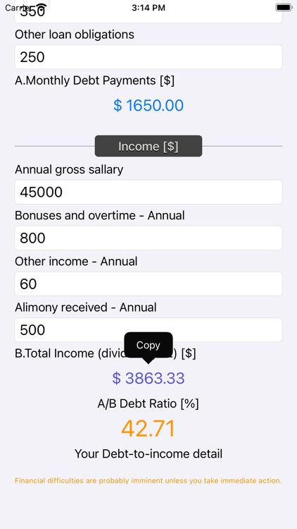 Debt 2 Income Calculator screenshot-7