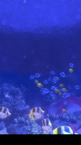 Game screenshot Coral Reef HD Lite mod apk