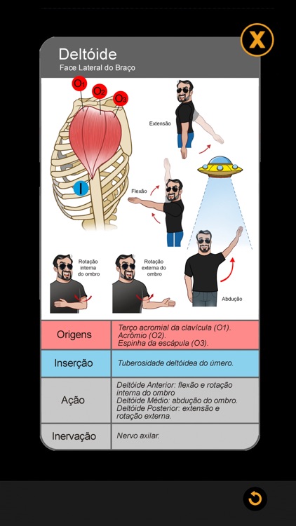 Anatomia Fácil na Palma da Mão screenshot-9