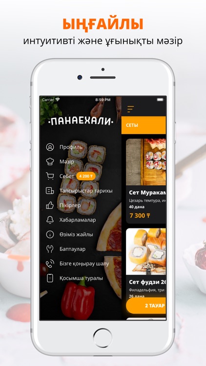 Панаехали | Костанай