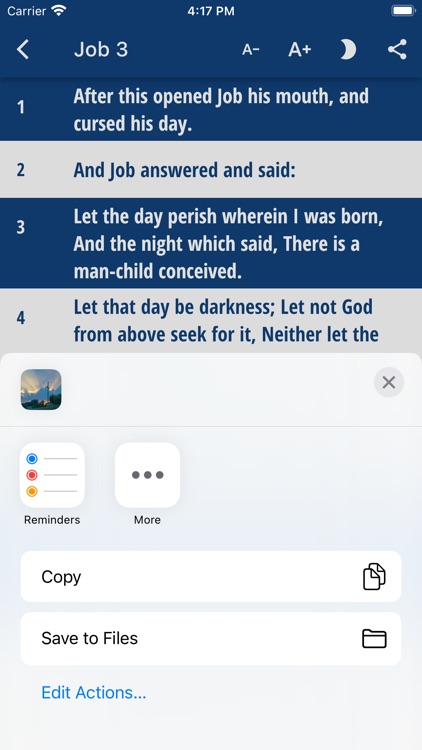 ASV Bible - Saddle Lights screenshot-8