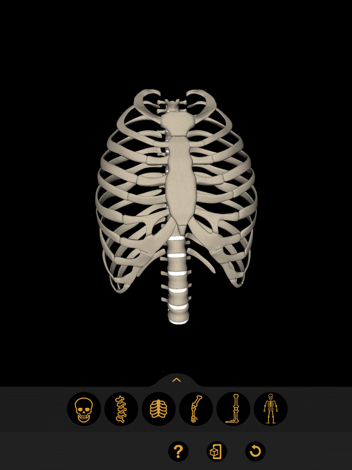 Anatomia Fácil na Palma da Mão