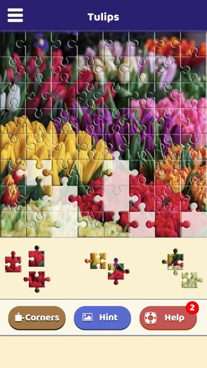 Tulip Love Puzzle