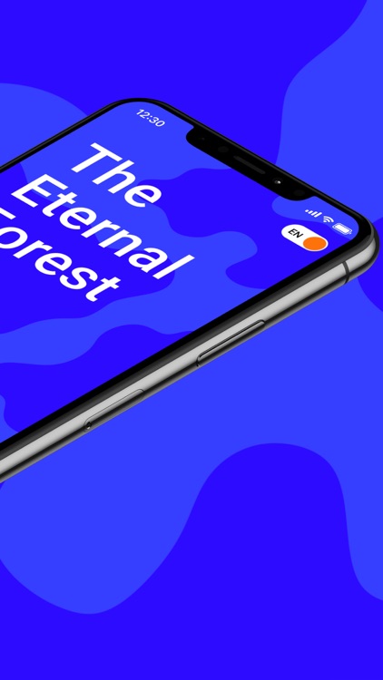Eternal Forest