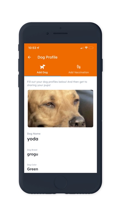 fetch-park-member-app-by-fetch-park