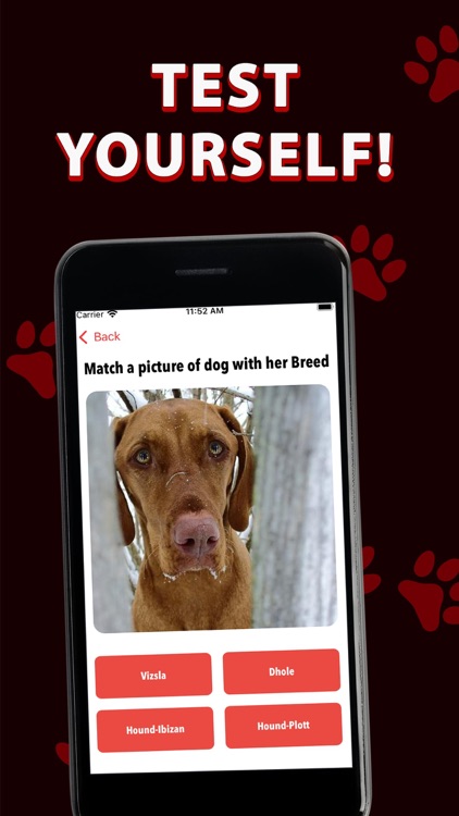 Red Dog - Play and Train!