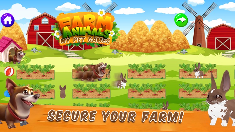 Farm Animals-My Farm